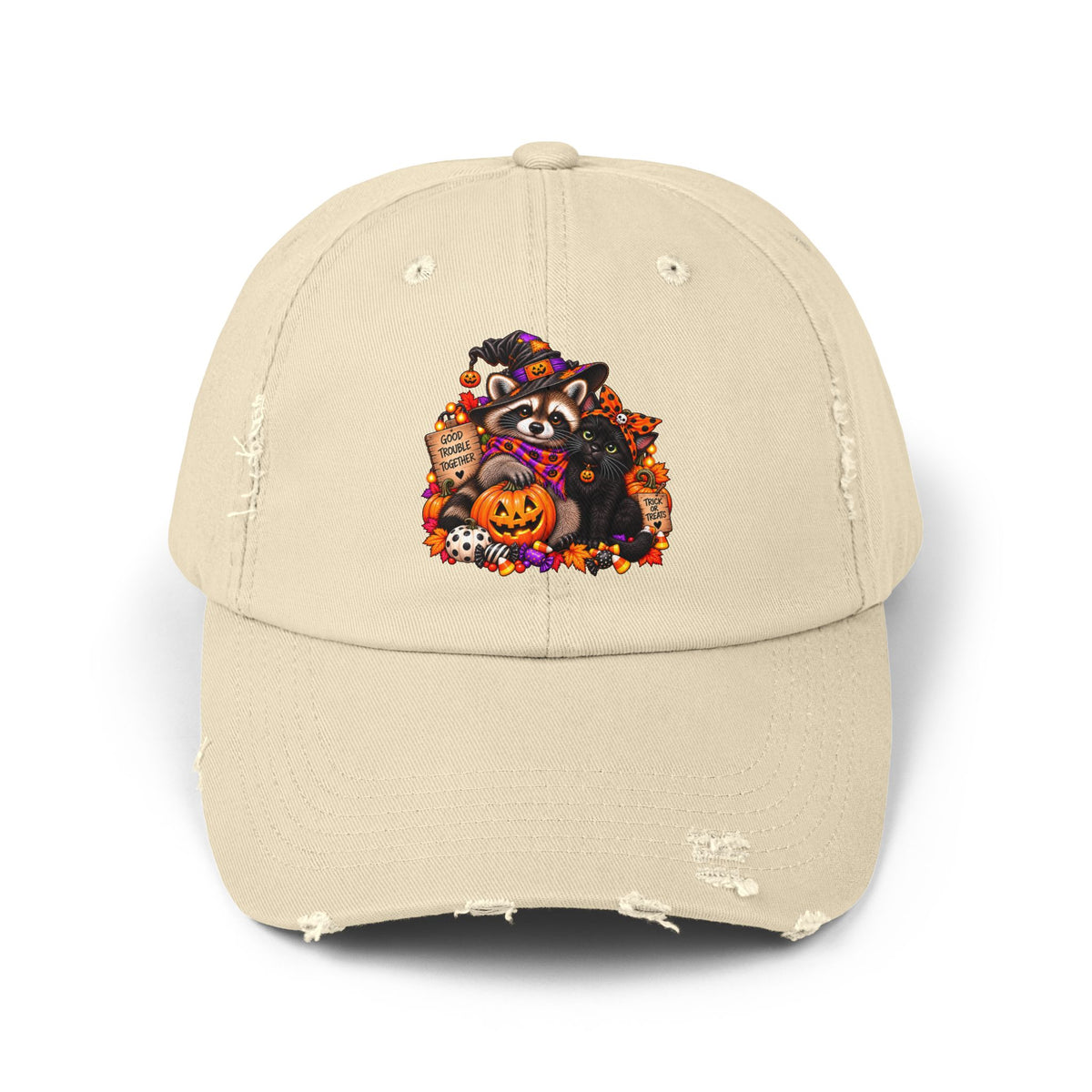 Halloween Raccoon and Black Cat Bestie Distressed Baseball Hat