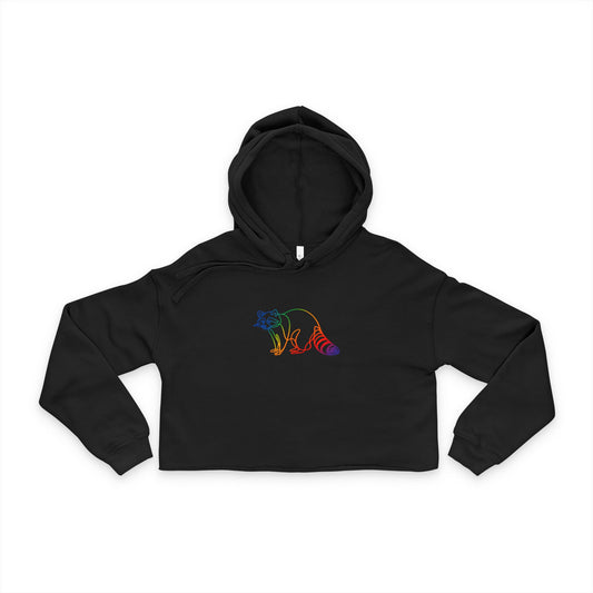 Colorful Raccoon Cropped Hoodie