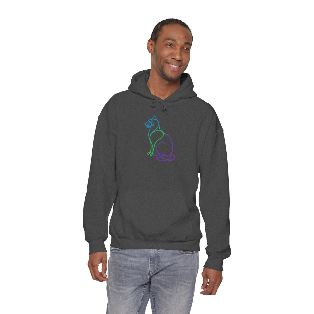 Northern Lights Cat Hooded Sweatshirt