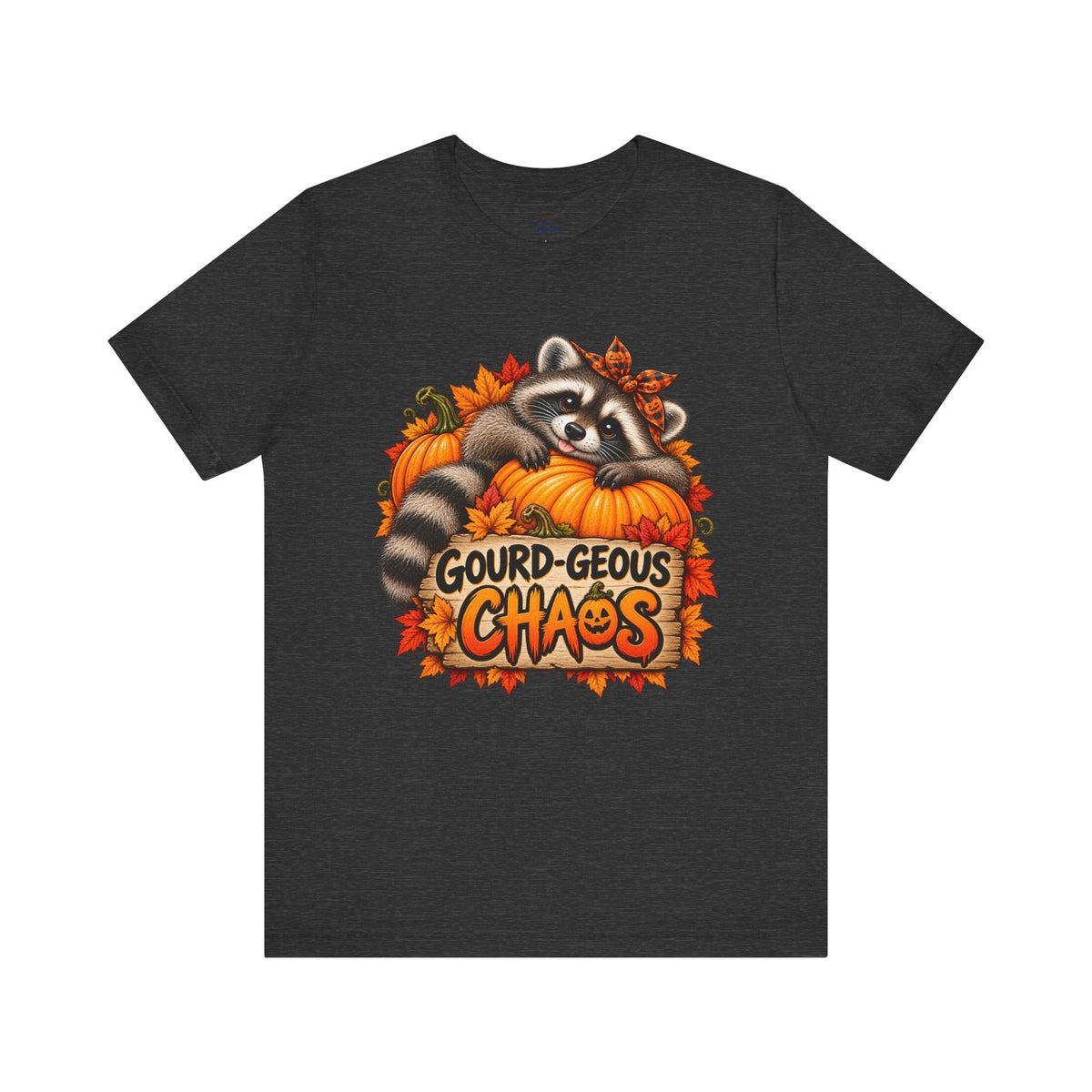 Gourd-geous Raccoon T-Shirt