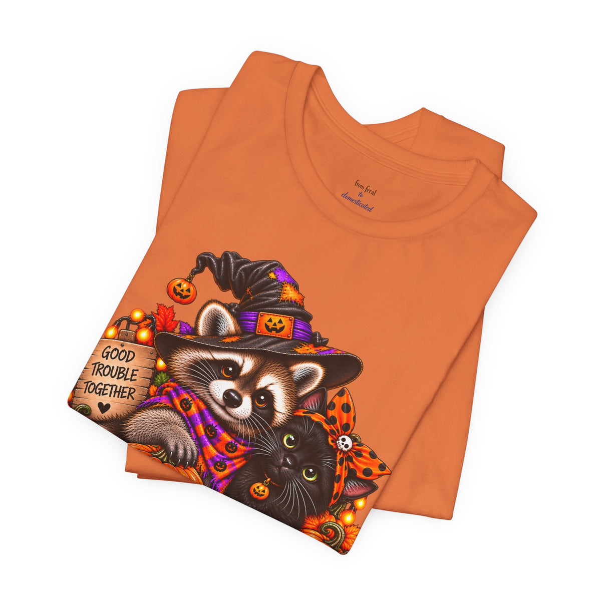Halloween Raccoon and Black Cat T-Shirt