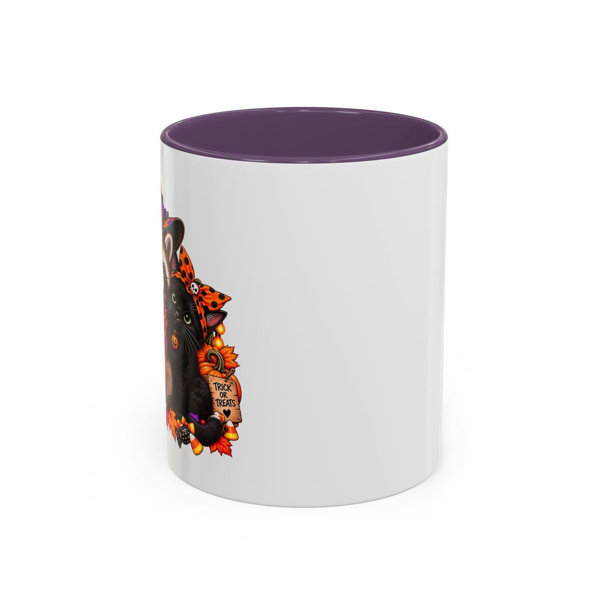Halloween Raccoon and Black Cat Bestie Coffee Mug  (11/15oz)