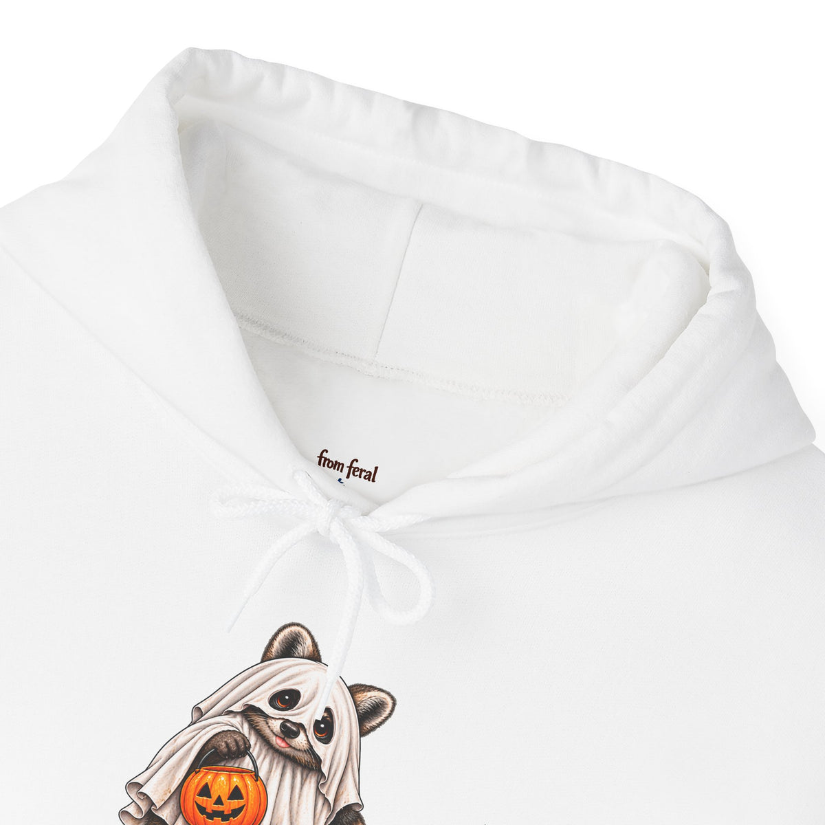 Ghosted Raccoon Hooded Sweatshirt