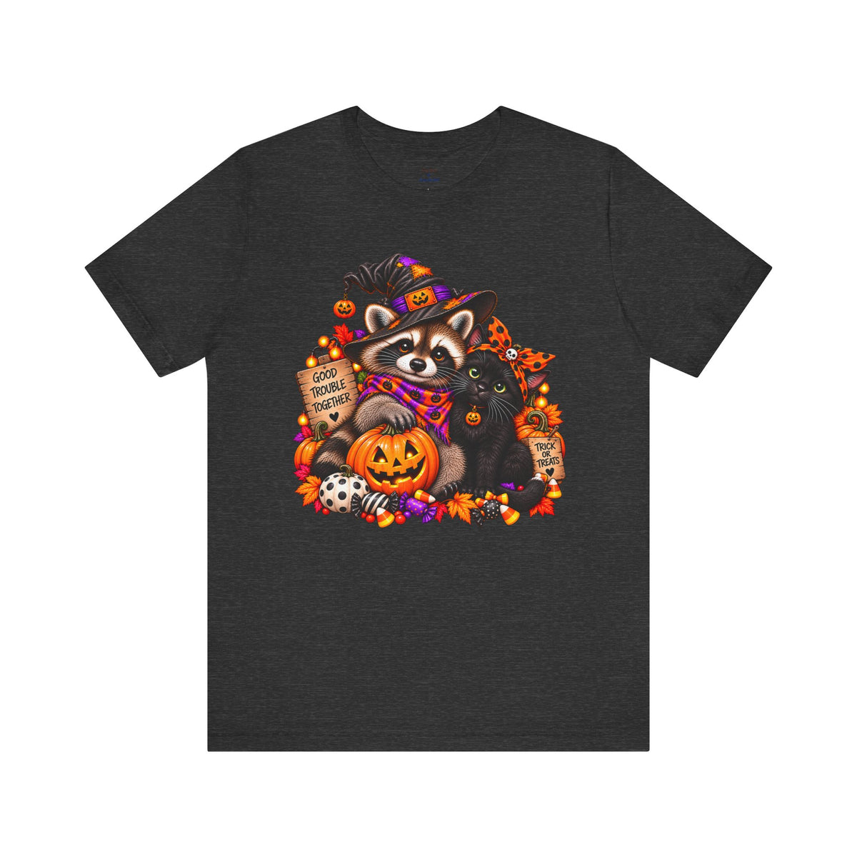Halloween Raccoon and Black Cat T-Shirt