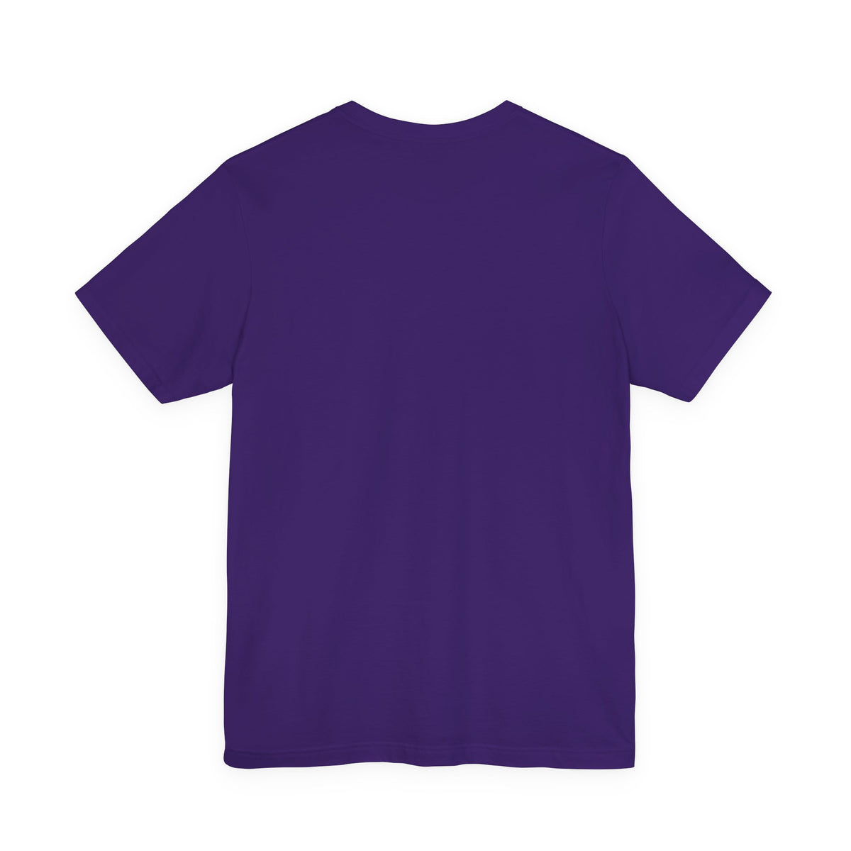 Halloween Raccoon T-Shirt