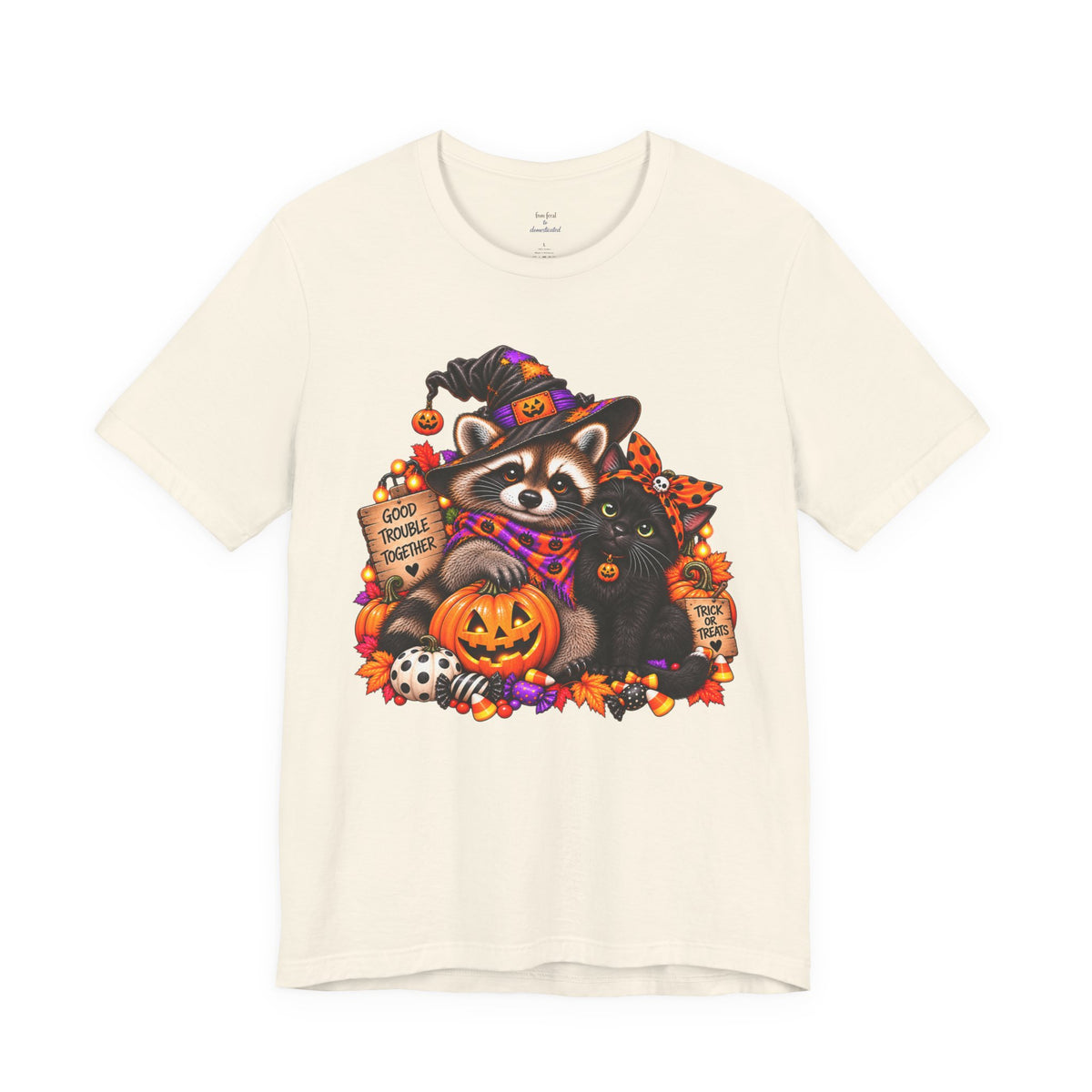 Halloween Raccoon and Black Cat T-Shirt