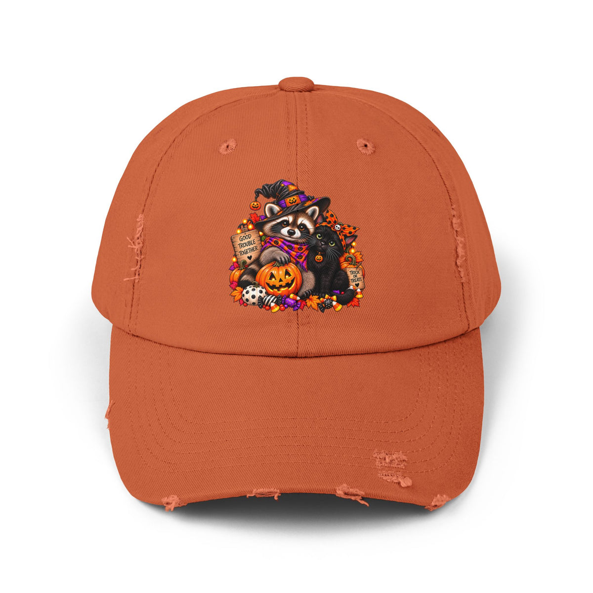 Halloween Raccoon and Black Cat Bestie Distressed Baseball Hat