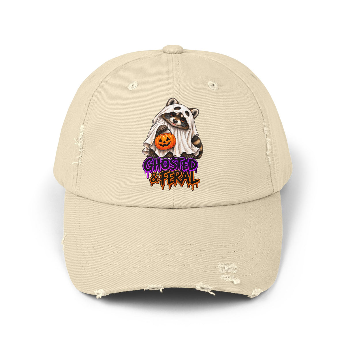 Ghosted Raccoon Distressed Baseball Hat
