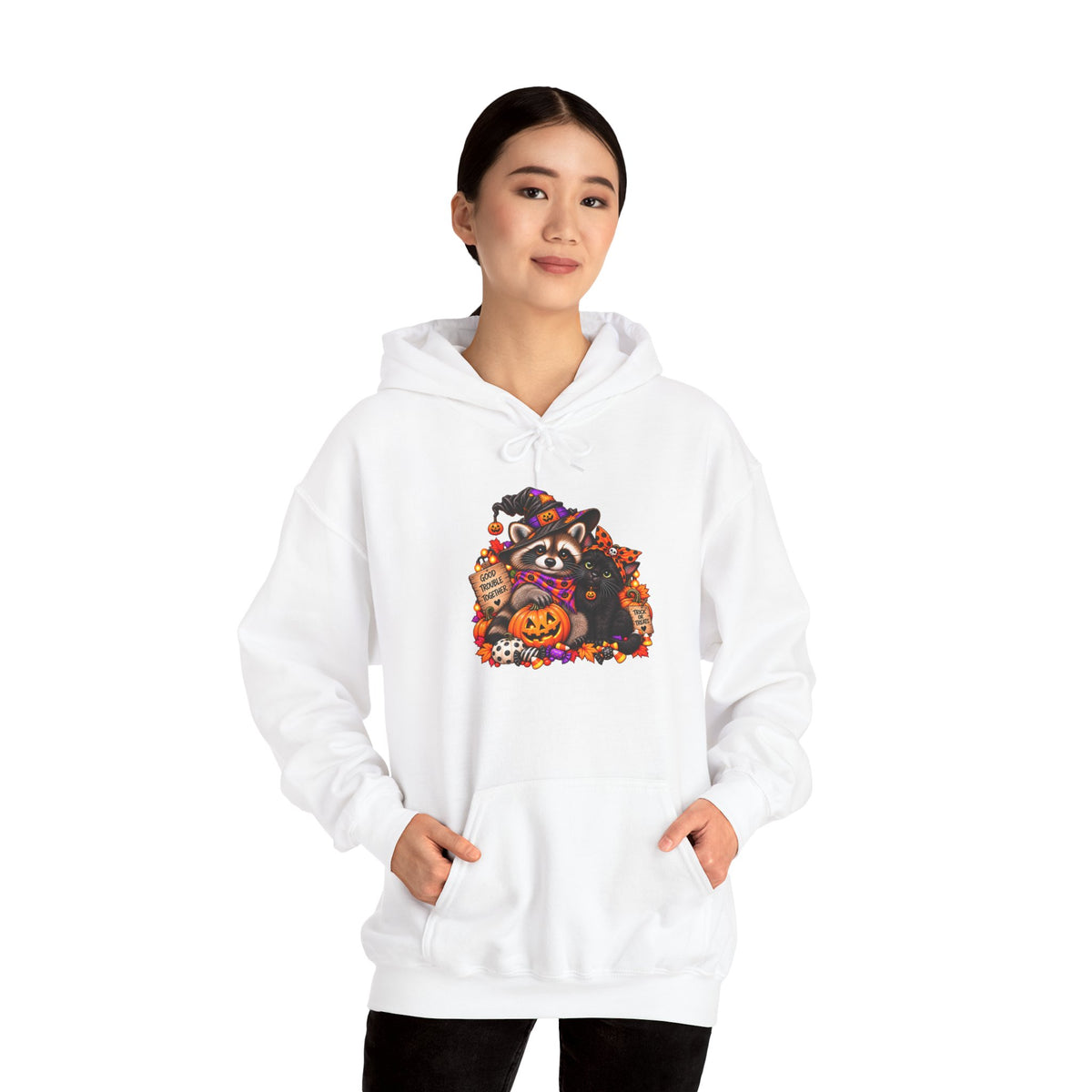 Halloween Raccoon and Black Cat Bestie Hooded Sweatshirt