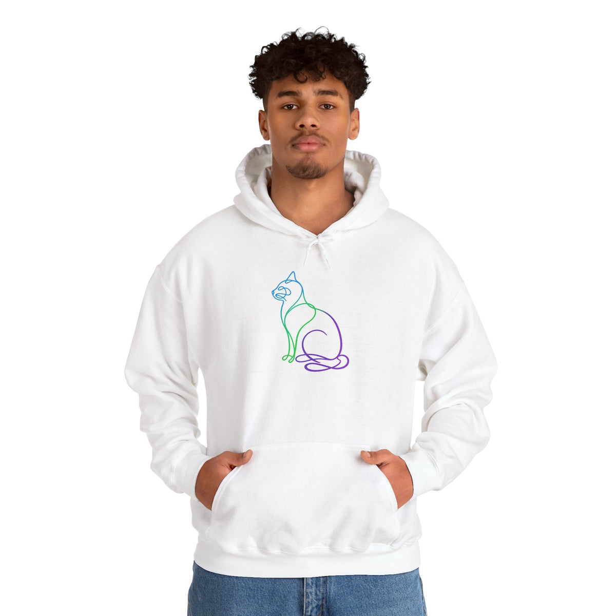 Northern Lights Cat Hooded Sweatshirt