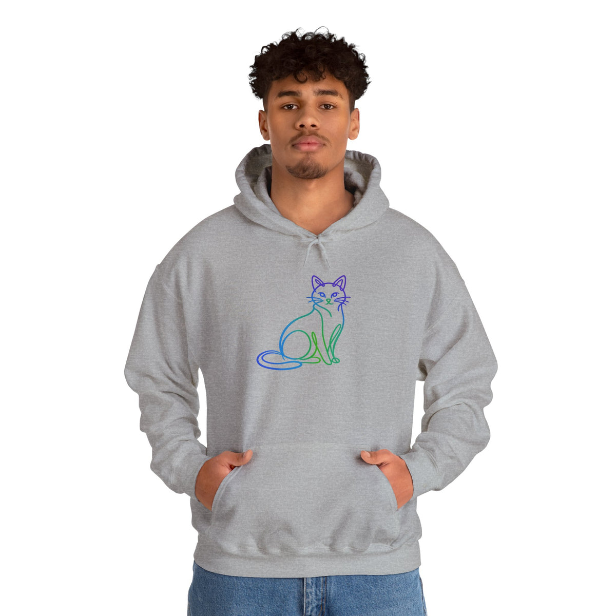 Northern Lights Cat Hooded Sweatshirt
