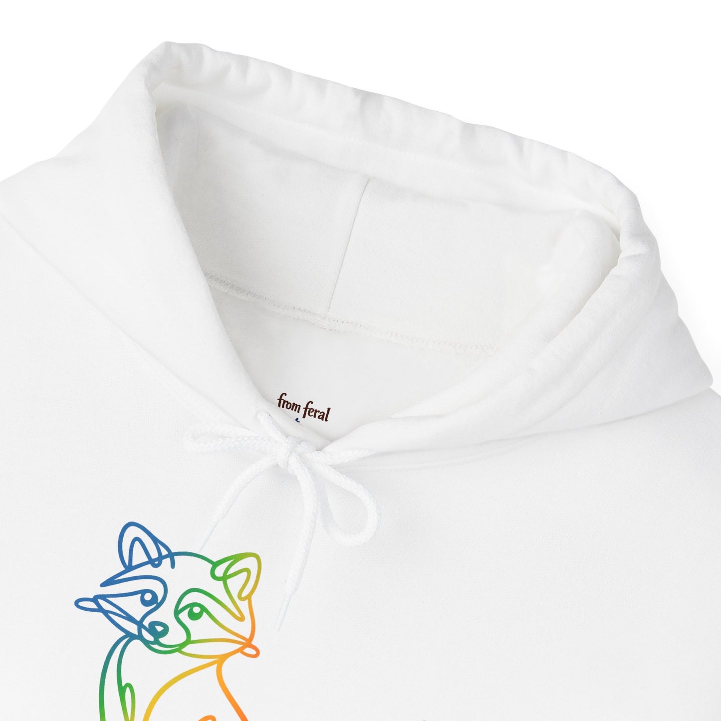Rainbow Line Art Raccoon Hoodie