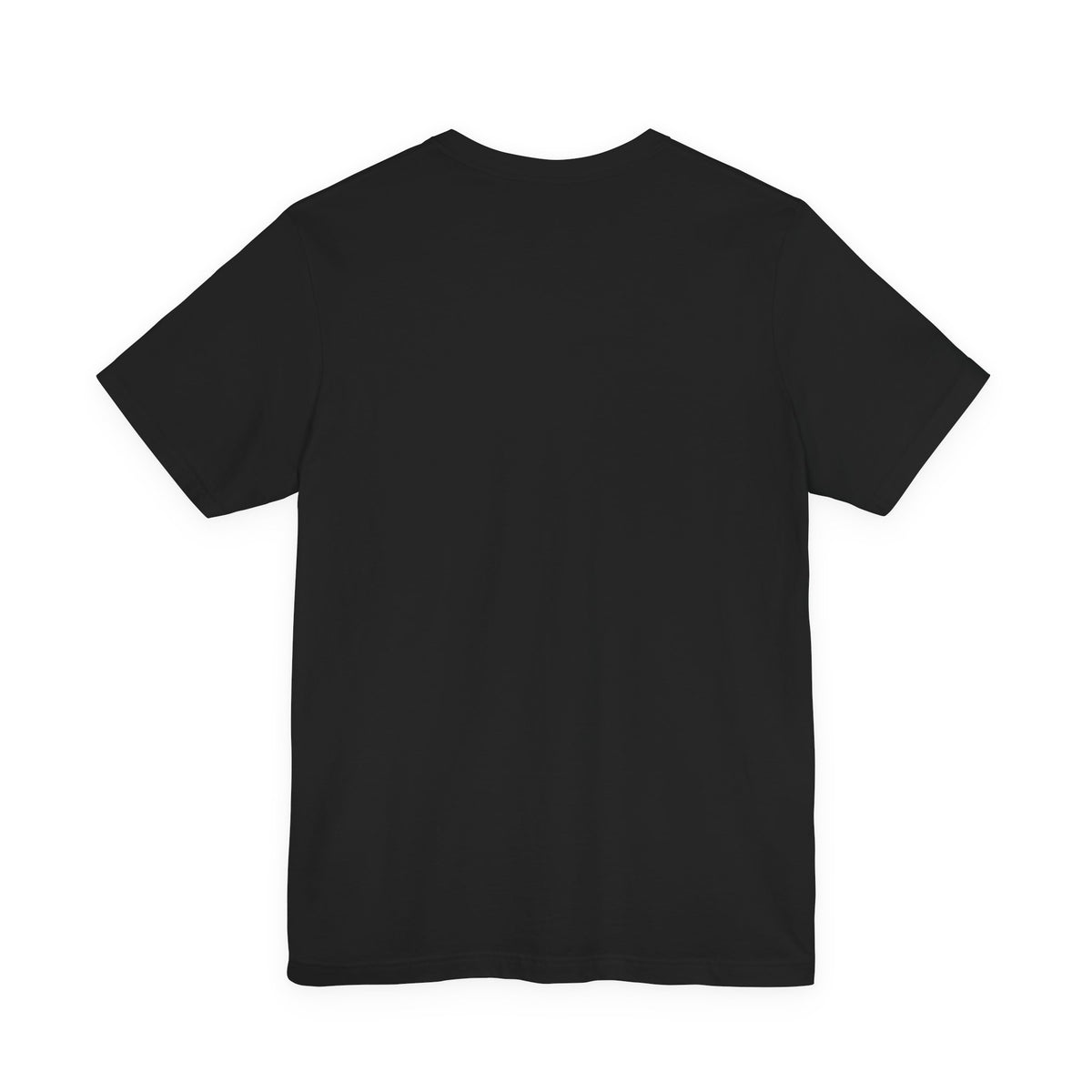 Halloween Raccoon and Black Cat T-Shirt