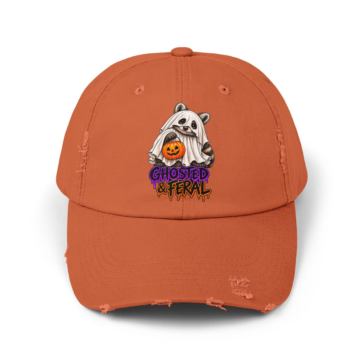 Ghosted Raccoon Distressed Baseball Hat