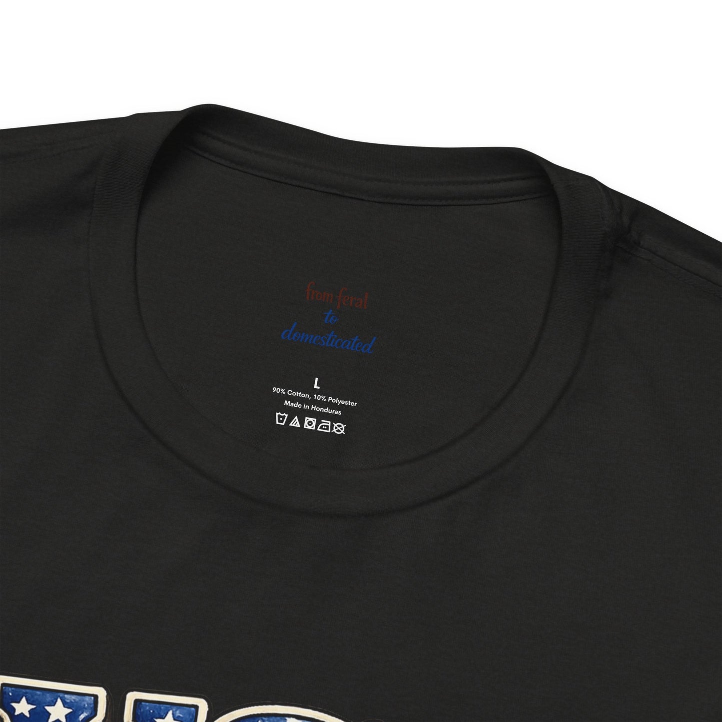 Patriot Raccoon 250th Anniversary T-Shirt — 4th of July Fireworks Flag Tee