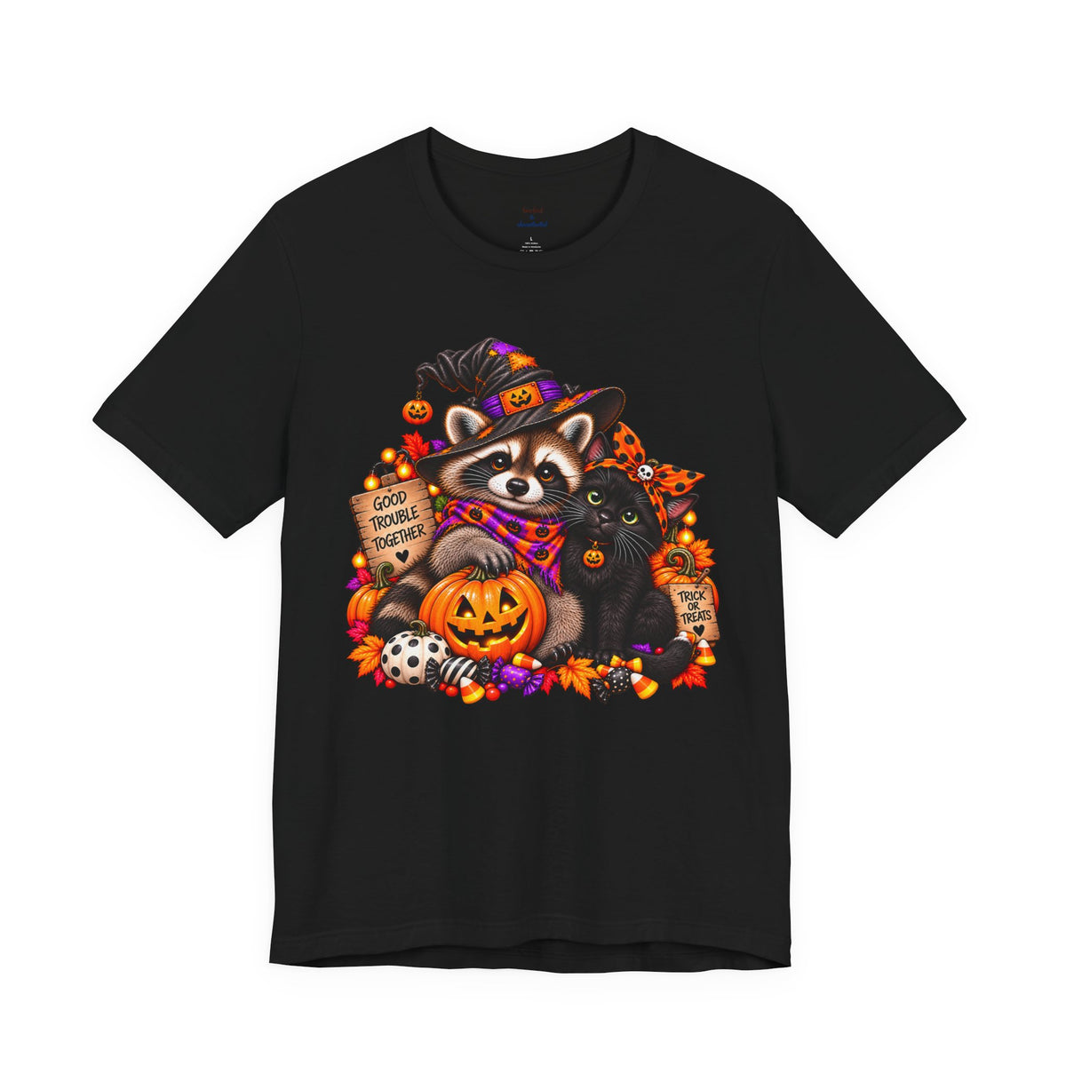Halloween Raccoon and Black Cat T-Shirt