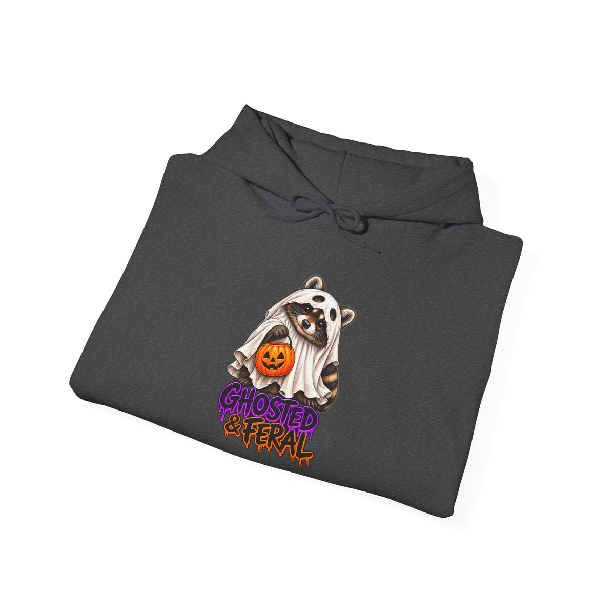 Ghosted Raccoon Hooded Sweatshirt
