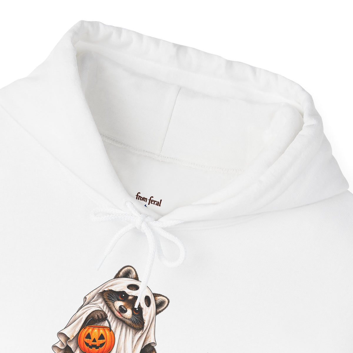 Ghosted Raccoon Hooded Sweatshirt