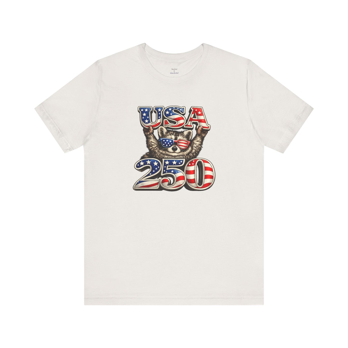 Patriot Raccoon 250th Anniversary T-Shirt — 4th of July Fireworks Flag Tee