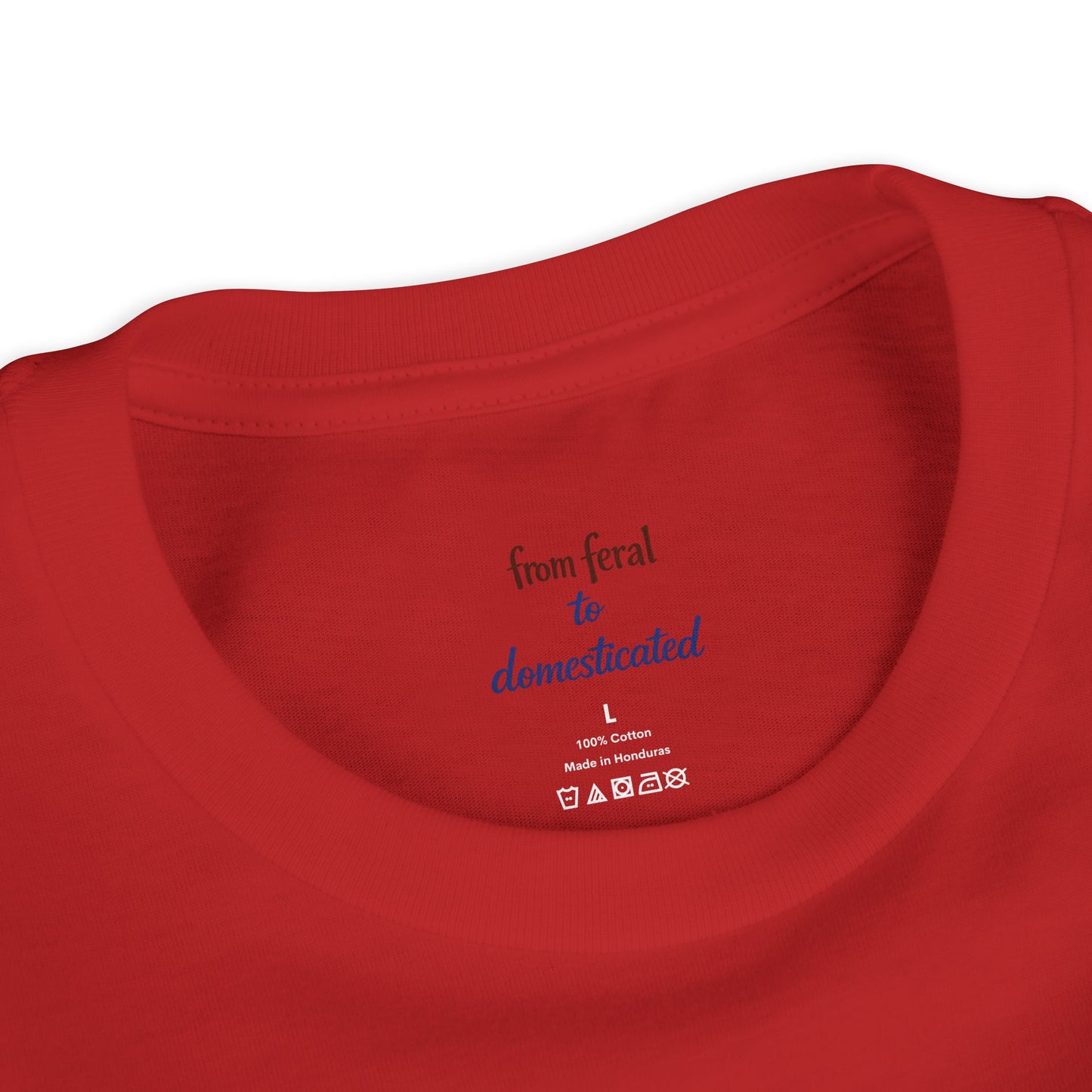 Patriotic Raccoon Youth Tee — Raccoon with USA 250