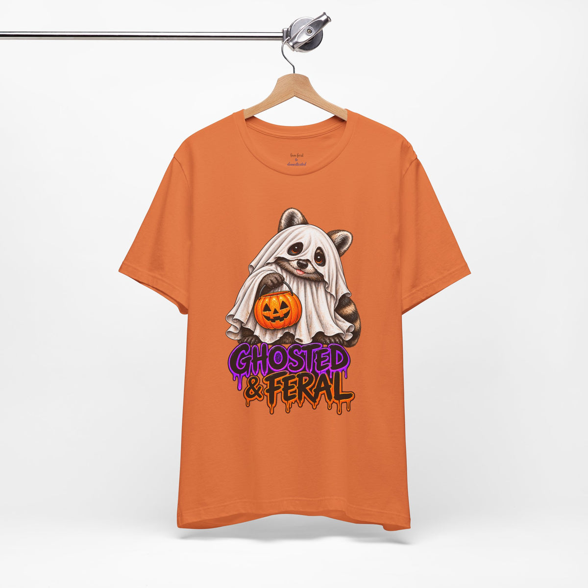 Ghosted Raccoon T-Shirt