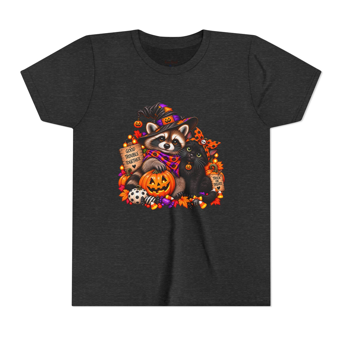 Halloween Youth Tee — Raccoon with it's Black Cat Bestie Kids Tshirt