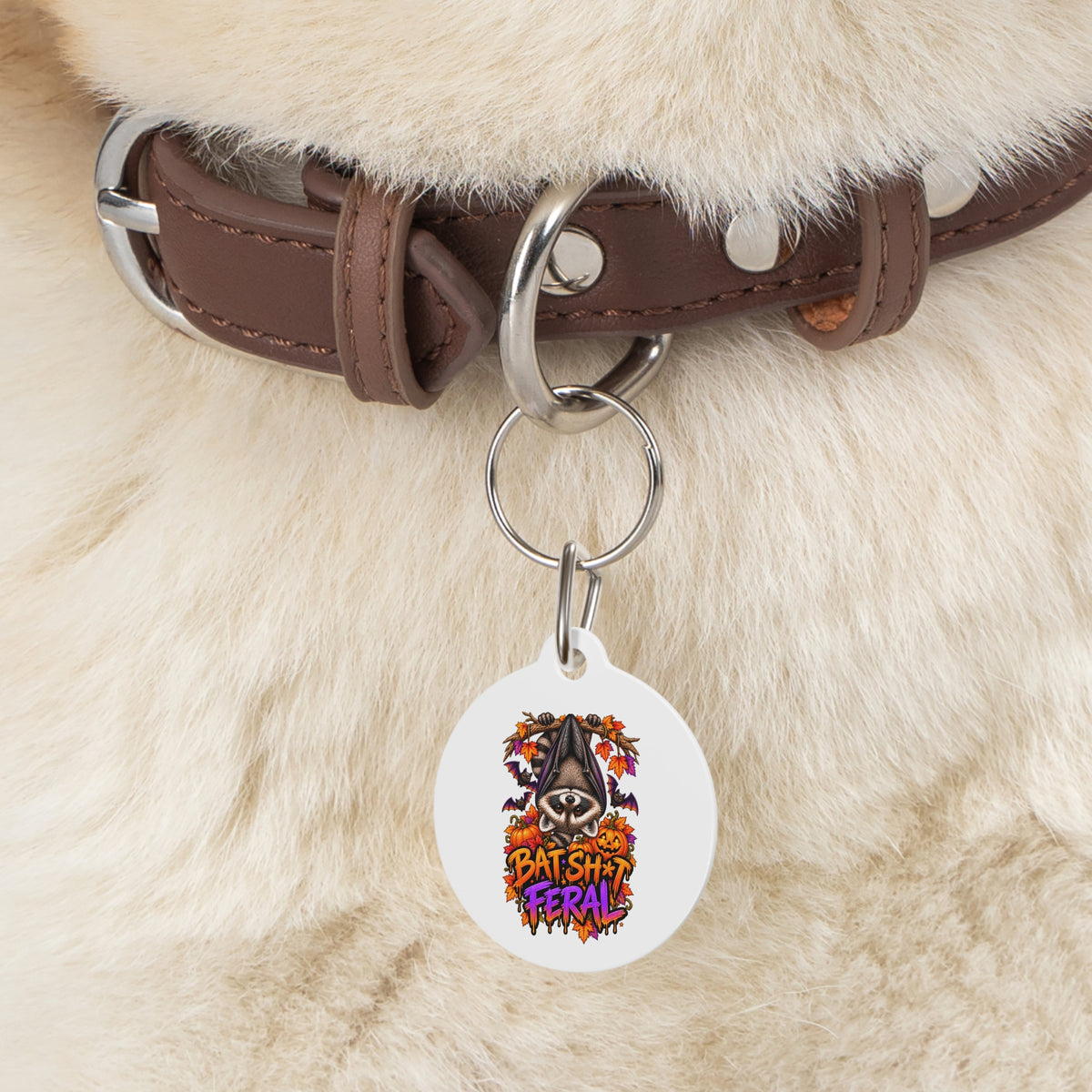 Halloween Raccoon Pet Tag