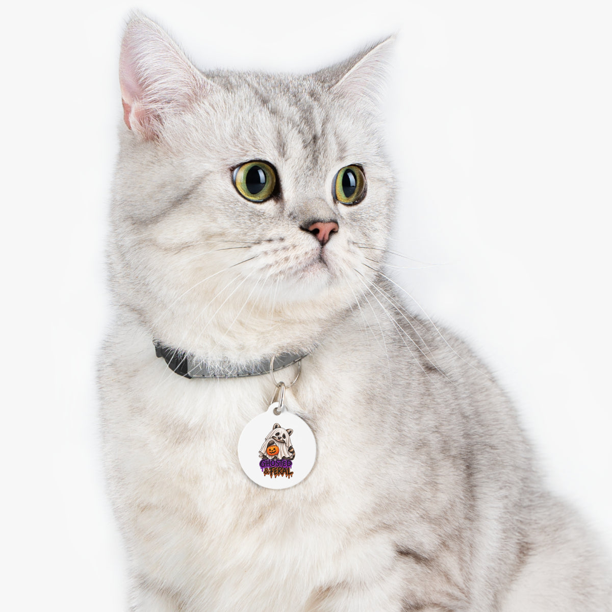 Halloween Raccoon Pet Tag