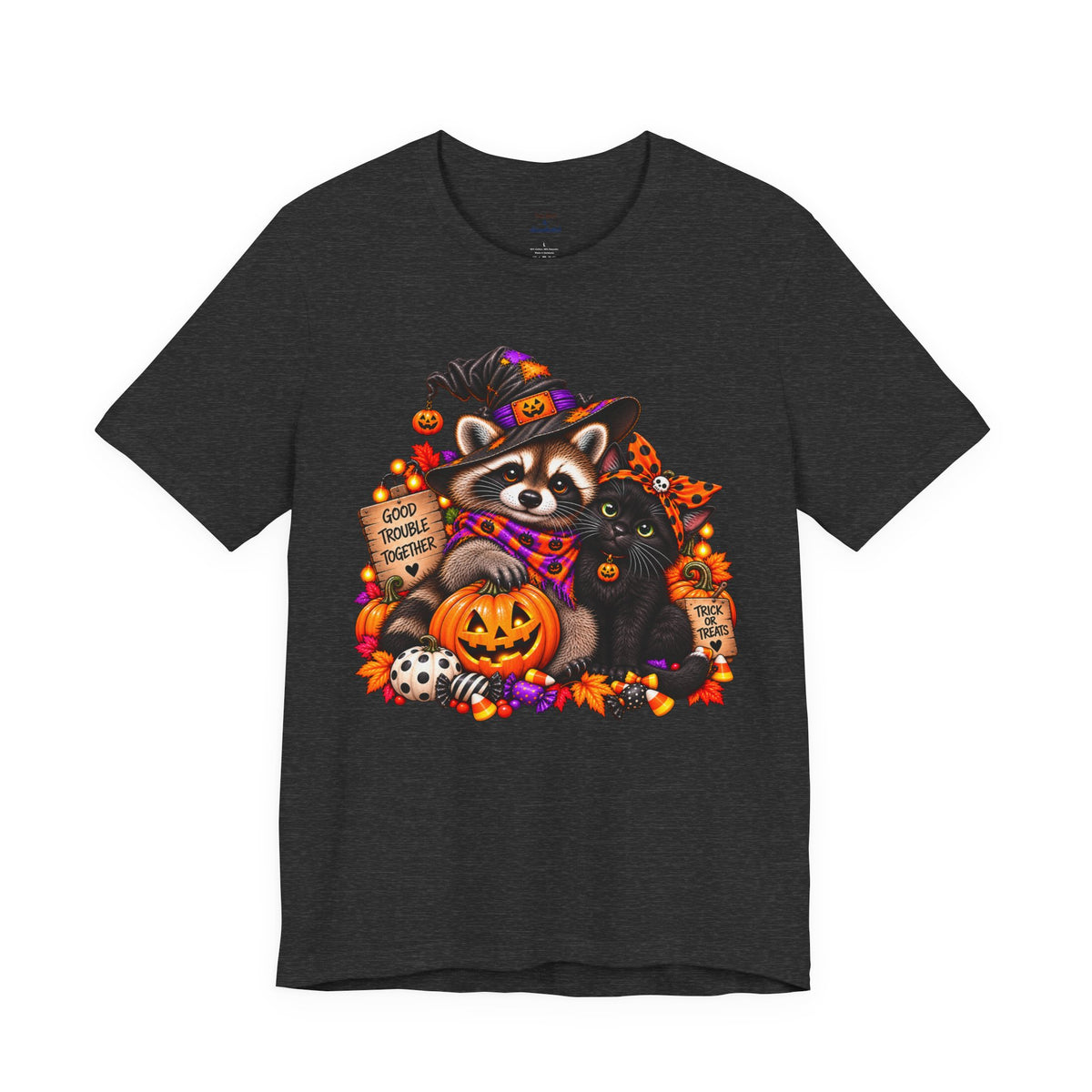 Halloween Raccoon and Black Cat T-Shirt